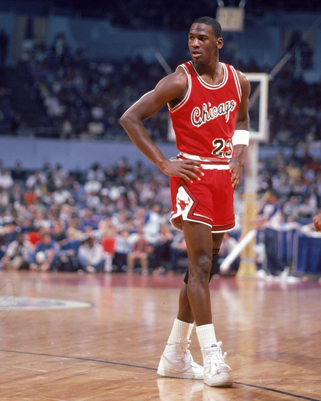 他们的工作 他们的工作